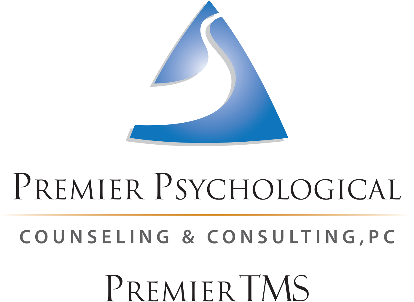 Premier TMS logo