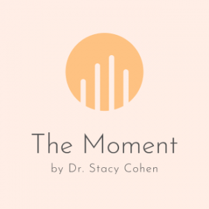 The Moment by Dr Stacy Cohen logo