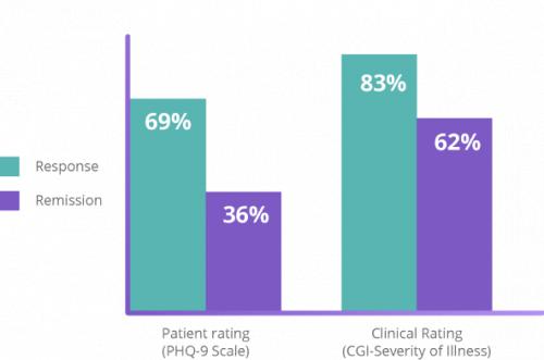 Graph of response and remission rates for patients.