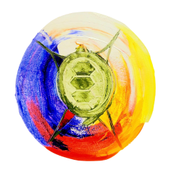 Healing Circle Psychiatric Services logo