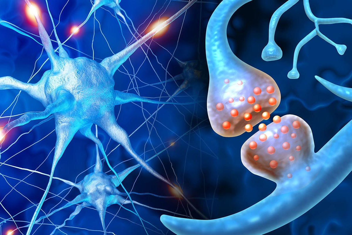 How TMS Therapy Helps Your Brain Achieve Remission From Depression image