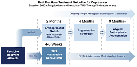 APA Depression Practice Guidelines